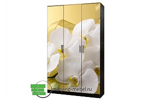 Лайт-3 распашной шкаф с фотопечатью Орхидеи-1