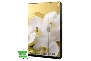 Лайт-3 распашной шкаф с фотопечатью Орхидеи-1