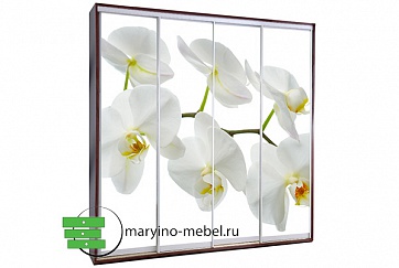 Шкаф-купе Титан-4/48714850 фотопечать Орхидея
