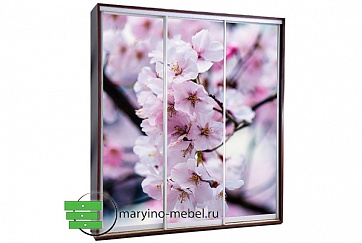 Шкаф-купе Титан-3/635588873 фотопечать Весенние цветы