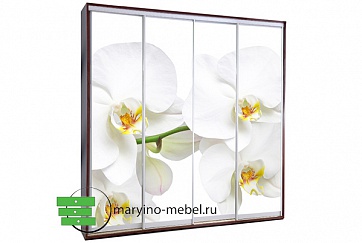Шкаф-купе Титан-4/496644505 фотопечать Белая орхидея