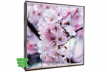 Шкаф-купе Титан-4/635588873 фотопечать Весенние цветы