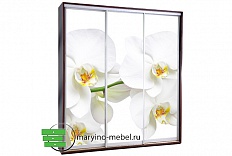 Шкаф-купе Титан-3/496644505 фотопечать Белая орхидея