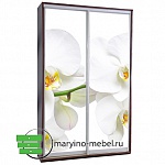 Шкаф-купе Титан-2/496644505 фотопечать Белая орхидея