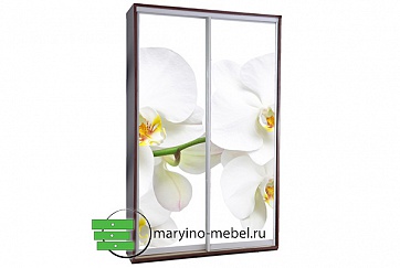 Шкаф-купе Титан-2/496644505 фотопечать Белая орхидея